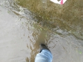 DSCN0636
