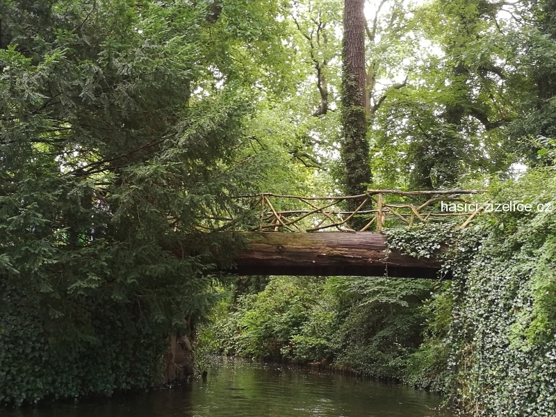 most z jednoho kusu stromu